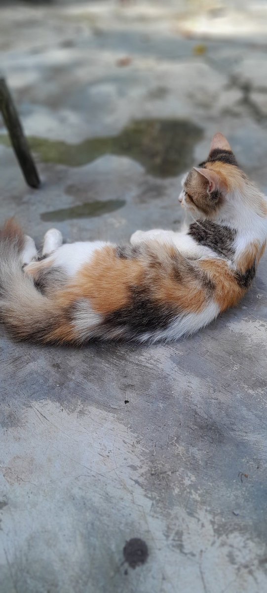 Pleas follow.....
💯 % follow back 🥹👍👍✌️