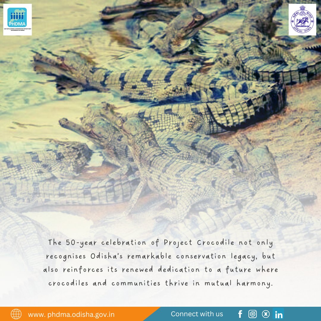 🐊 Odisha celebrates 50 yrs of #ProjectCrocodile on #InternationalCrocodileDay2025!
A conservation milestone—home to all 3 native crocodile species 🐊🌿
From Bhitarkanika to Similipal, a legacy of coexistence continues.
#WildlifeConservation #Odisha #Gharial #Crocodiles
