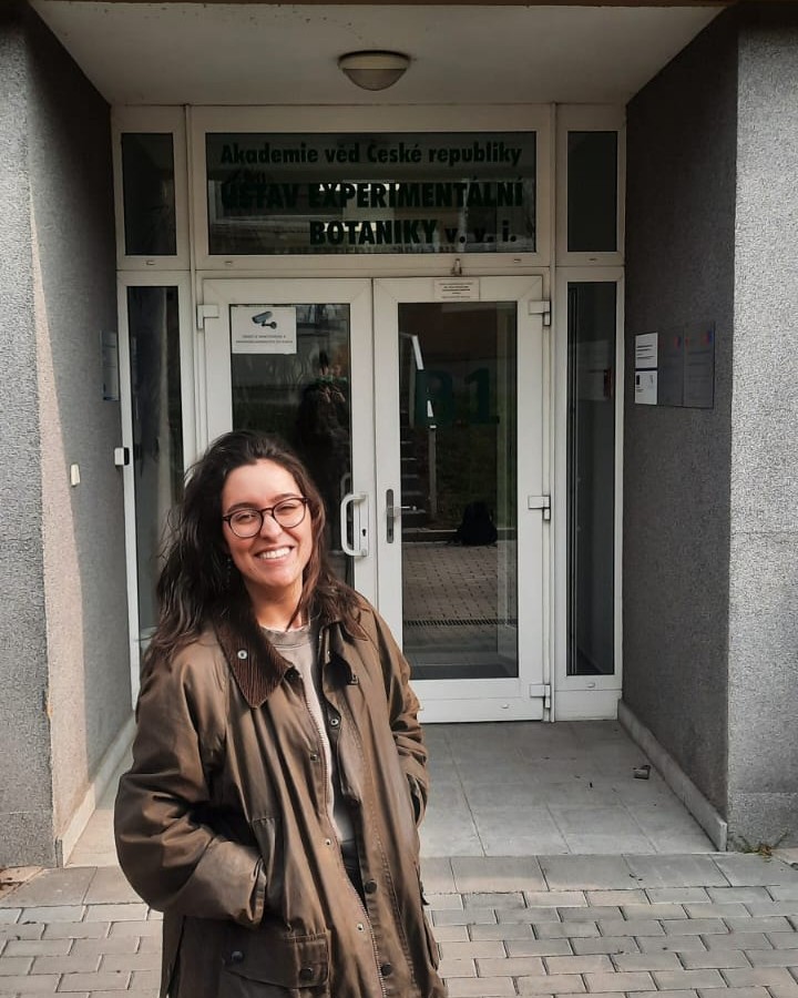 SAFA Huelva-Funcadia tweet media