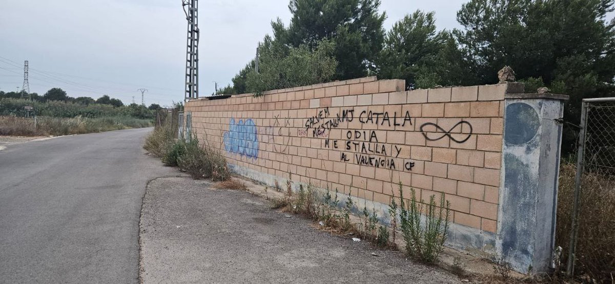 AMABLIM's tweet image. Nos encanta el arte callejero. 😍😍