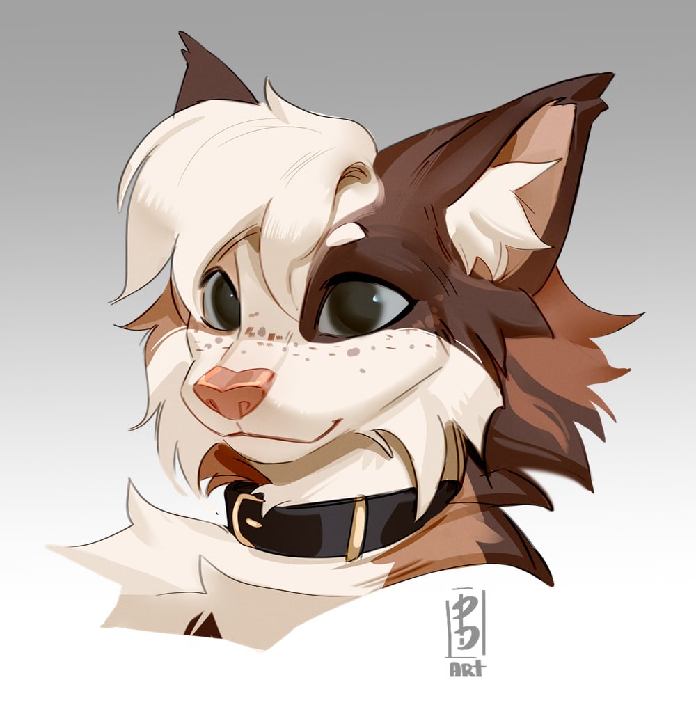 PD. NERA tweet media