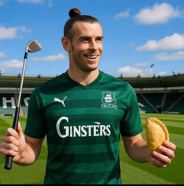 This will hurt the only League 1 Welsh football team 🦢🦢