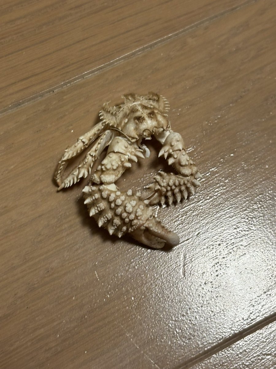 標本
