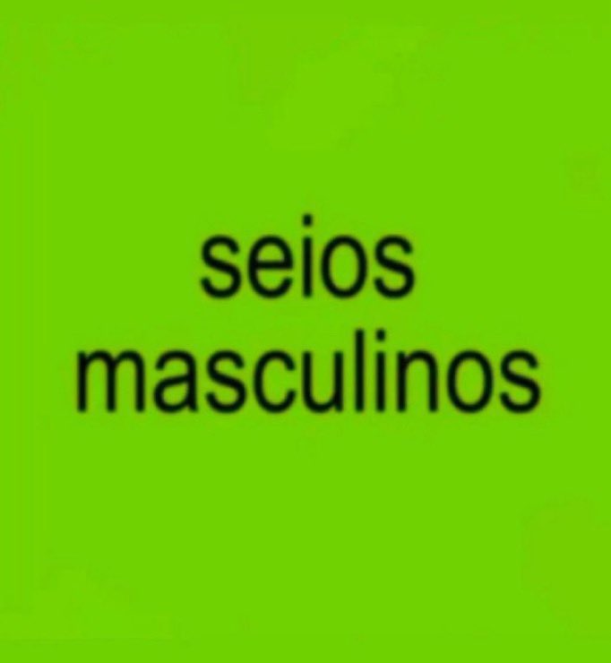 bearbranquinho tweet media