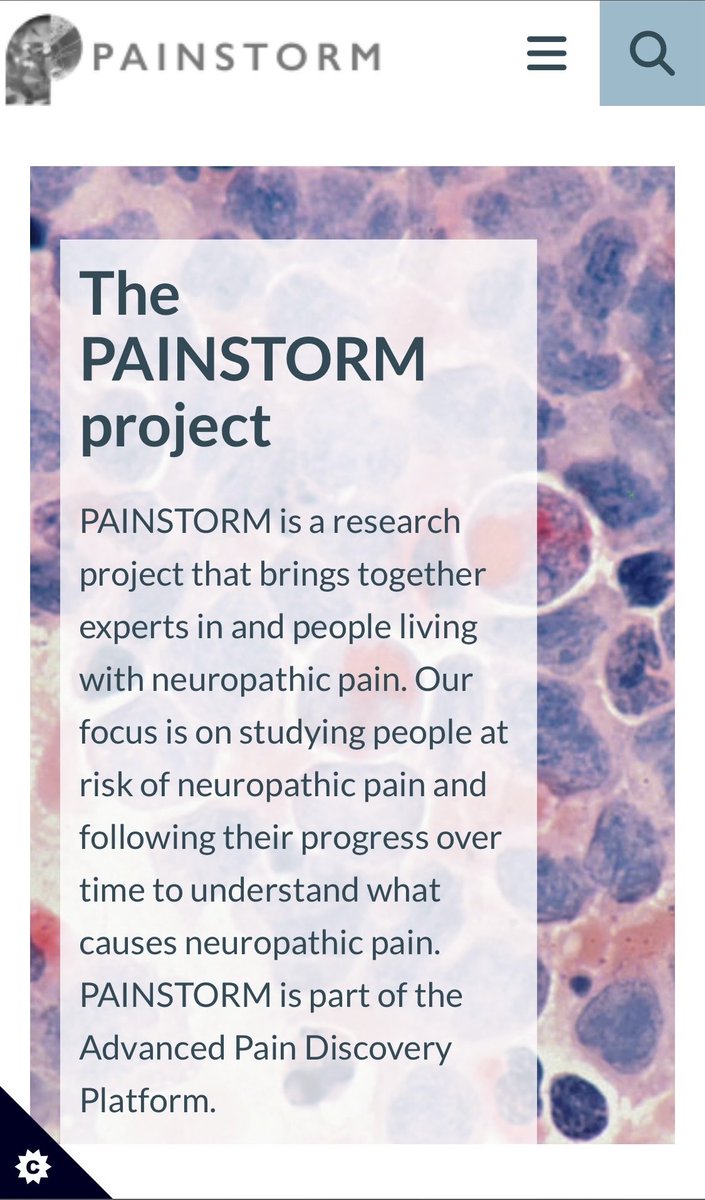 Do you live with Neuropathic Pain? Would you be willing to help explore what it’s like living with this? You can find out more about the research at https:/clickheretofindoutmorePAINSTORM.php or email painstorm@abdn.ac.uk for more information. Participants will be compensated🎗️