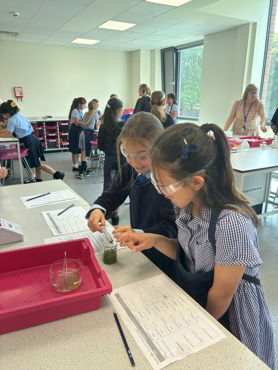 Fulham Cross Girls' School tweet media