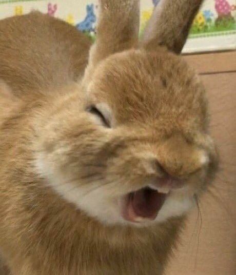 padabadapada's tweet image. 