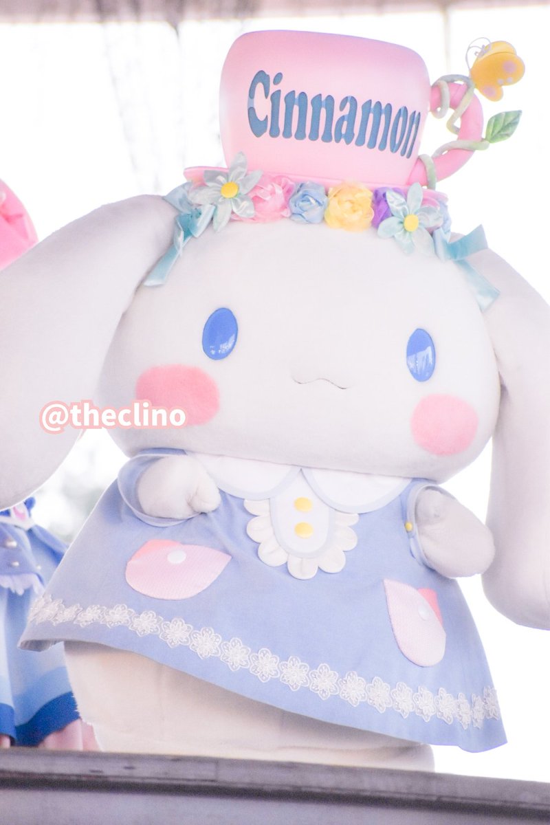 theclino's tweet photo. ブルーミングシナモン、本当に幼児すぎてかわいいの極地に達してる( ;ᯅ; )🌸 https://t.co/kUFHtXVsgb