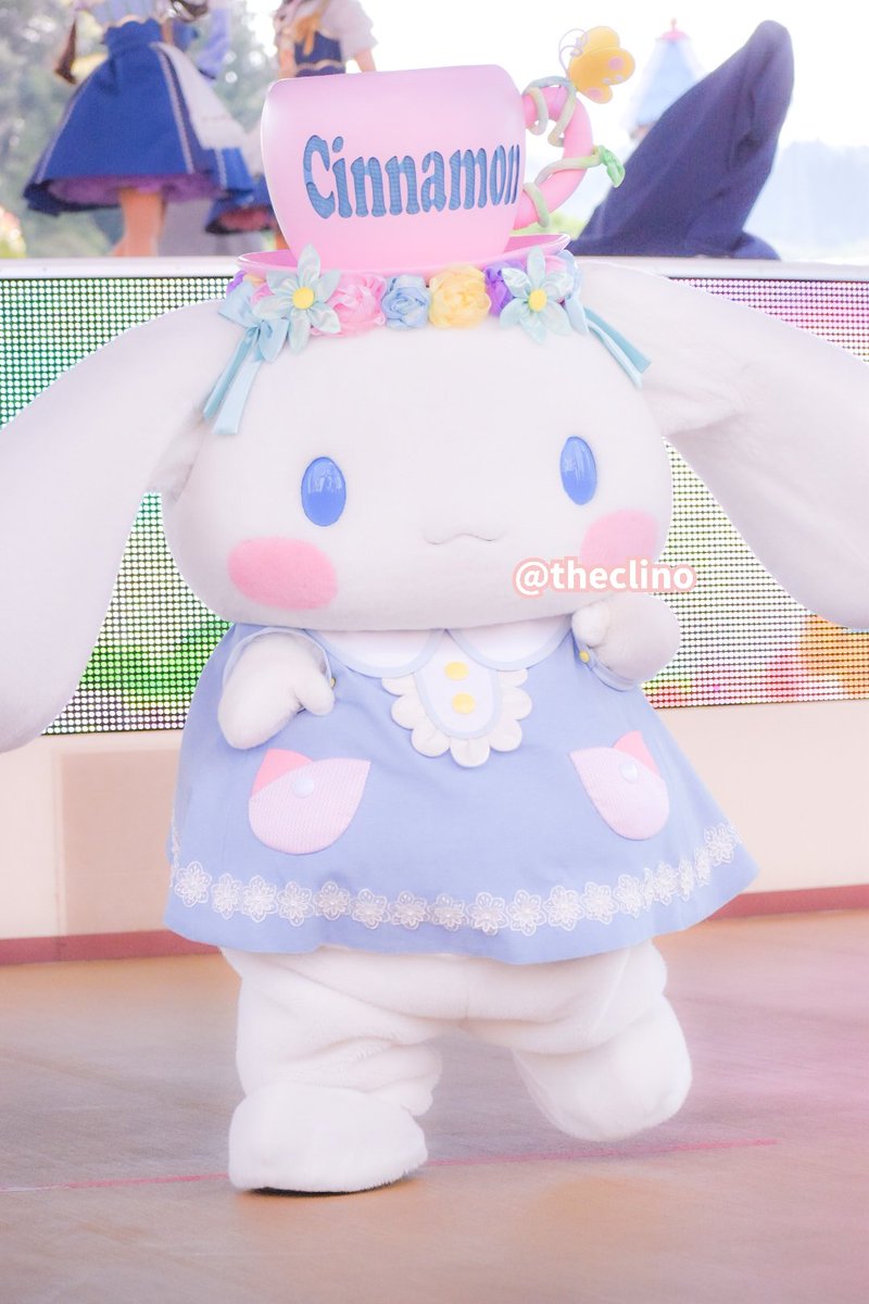 theclino's tweet photo. ブルーミングシナモン、本当に幼児すぎてかわいいの極地に達してる( ;ᯅ; )🌸 https://t.co/kUFHtXVsgb
