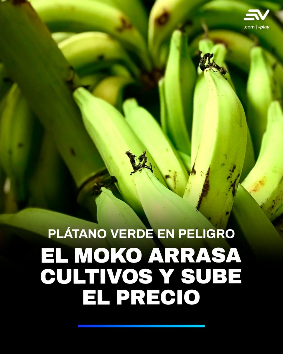 Ecuavisa Noticias tweet media