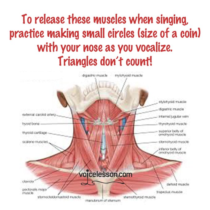 BaxterOnSinging's tweet image. #singingtechnique #singinglessons #singers #singingtips #voicelessons #vocaltips #vocaltherapy #vocalperformance