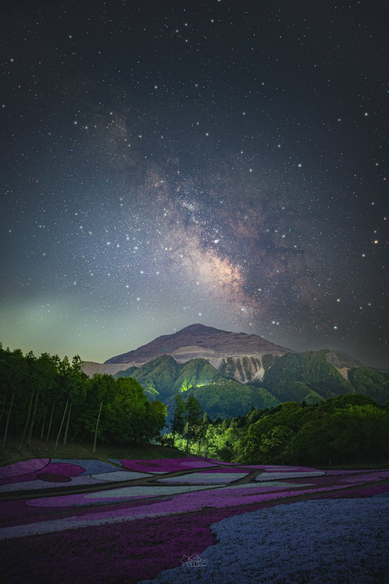 Sui (BSNX) tweet media