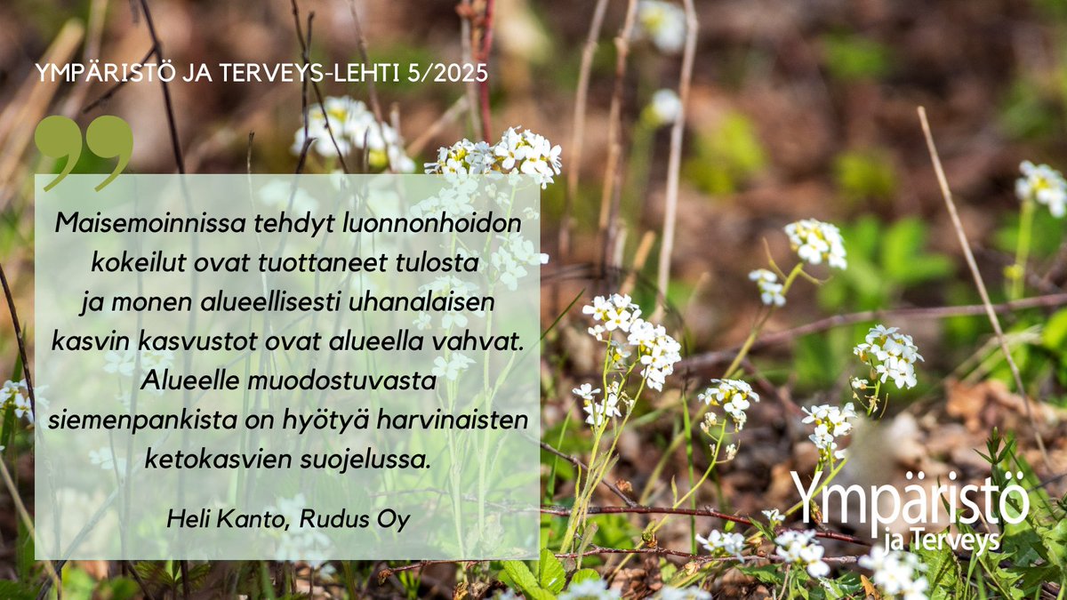Heli Kanto / Rudus Oy kirjoittaa Rudus LUMO-ohjelmasta ja Oulunsalon maisemointihankkeesta Ympäristö ja Terveys-lehden 5/2025 artikkelissaan "Siemenpankki ja elävää kasvitaidetta kivenottoalueella". ymparistojaterveys.fi #maisemointi #siemenpankki #ympäristö #luonto