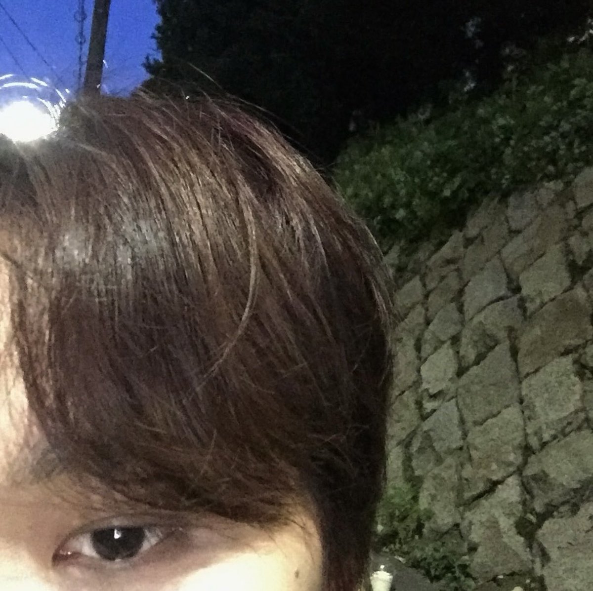 우와 요즘은 강아지가 폰도 할 수 잇네,,
신기허다,
