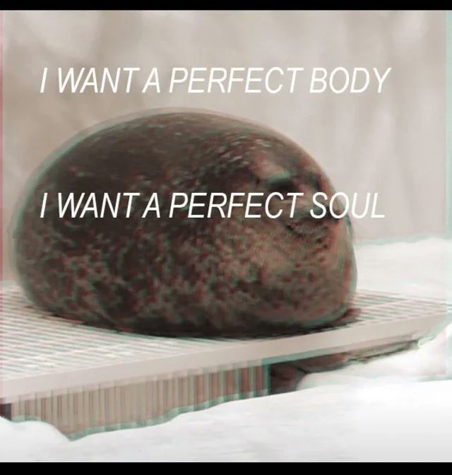 wizard boy super tweet media