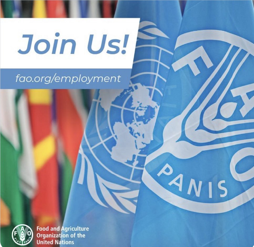Paula Anton (@piaulia) on Twitter photo ‼️HIRING‼️ We are looking for a great #fisheries and/or #aquaculture international consultant, bilingual French/English, to join our <a href="/FAOWestAfrica/">FAO West Africa</a> team in Dakar, for at least 1 year!! 🐟🌍
Please, if you have the relevant experience apply here 👉 jobs.fao.org/careersection/… ‼️HIRING‼️ We are looking for a great #fisheries and/or #aquaculture international consultant, bilingual French/English, to join our <a href="/FAOWestAfrica/">FAO West Africa</a> team in Dakar, for at least 1 year!! 🐟🌍
Please, if you have the relevant experience apply here 👉 jobs.fao.org/careersection/…
