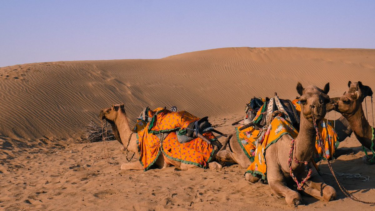 Land is life! 💚

In Pakistan, over 38 million people are exposed to land degradation and nearly 65 million face drought risks. Desertification threatens livelihoods, ecosystems and the most vulnerable — especially women and children.

On #DesertificationAndDroughtDay,