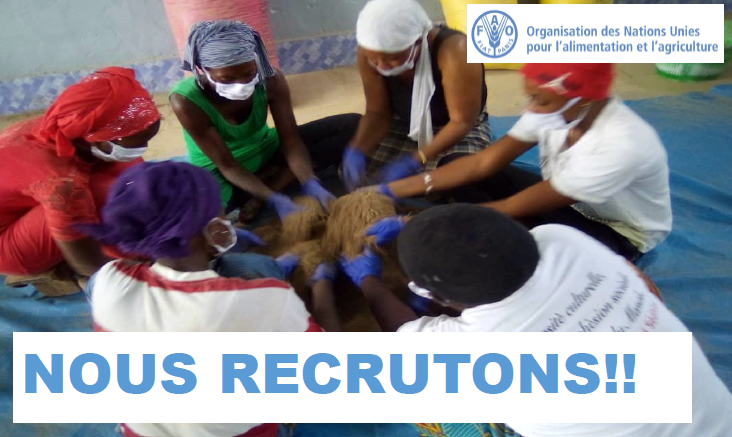 Paula Anton (@piaulia) on Twitter photo ‼️RECRUTONS‼️ Nous cherchons un excellent consultant international #pêche et/ou #aquaculture bilingue anglais/français, pour rejoindre notre équipe <a href="/FAOWestAfrica/">FAO West Africa</a> à Dakar, pour au moins 1 an!! 🐟🌍
SVP, si vous avez l'expérience pertinente, postulez ici 👉jobs.fao.org/careersection/… ‼️RECRUTONS‼️ Nous cherchons un excellent consultant international #pêche et/ou #aquaculture bilingue anglais/français, pour rejoindre notre équipe <a href="/FAOWestAfrica/">FAO West Africa</a> à Dakar, pour au moins 1 an!! 🐟🌍
SVP, si vous avez l'expérience pertinente, postulez ici 👉jobs.fao.org/careersection/…