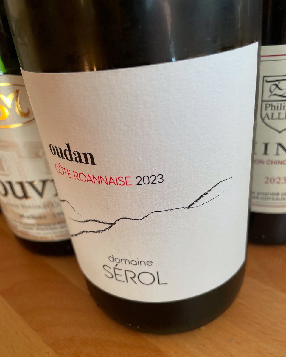 Where to go for Gamay in France? Beaujolais? Touraine? For me it has to be the Côte Roannaise, the 2023 Oudan from Domaine Sérol tasting good this sunny afternoon. #gamay #domaineserol #serol #wine #coteroannaise