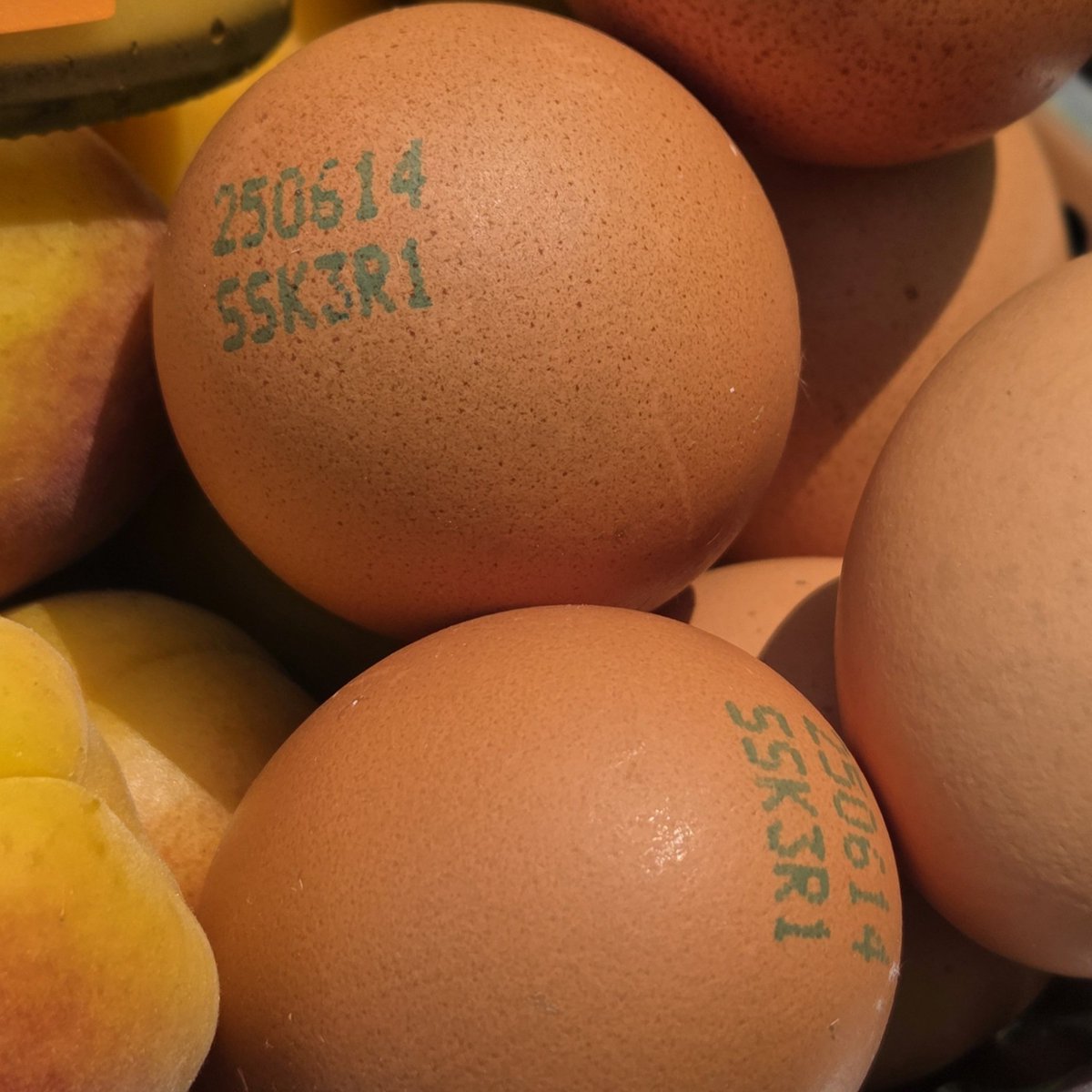 두드립 살구커드를 소개합니다. 
레몬커드를 좋아하시면 살구커드는 더 좋아하실 겁니다. 살구 특유의 향과 녹진함이 버터와 어우러져서 입에서 팡하고 터집니다. 구운 토스트보다 부드러운 맨 식빵에 진짜 잘 어울리며 샐러드 드레싱으로도 좋습니다. 

살구커드 바로가기
mkt.shopping.naver.com/link/685153f9f…