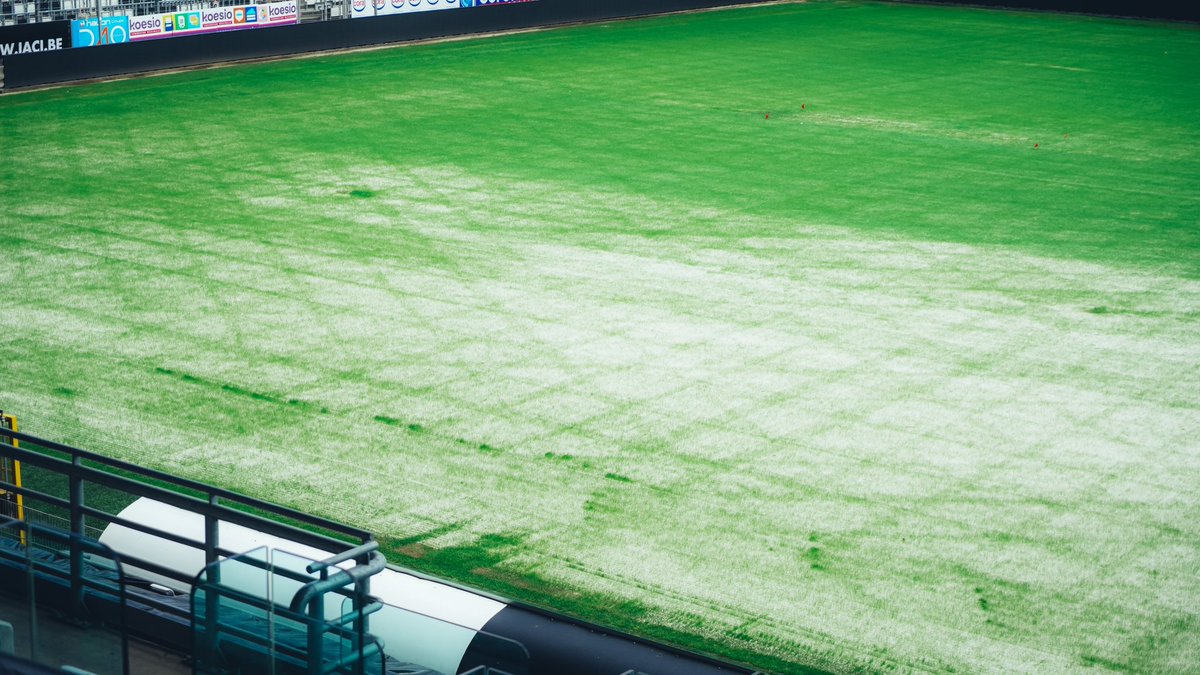 SportCharleroi's tweet photo. La pelouse du stade se refait une beauté ! 🌱
#RCSC #UExpert ⚫️⚪️ https://t.co/ZminF2U0x5