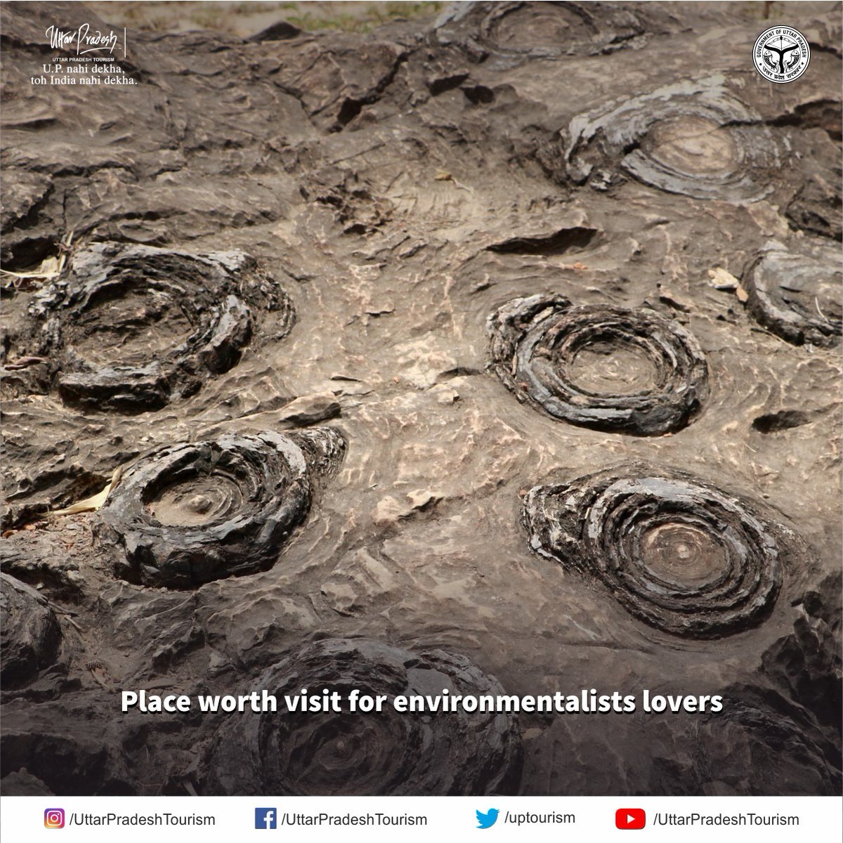 New site added to the Tentative List of the World Heritage Convention.

Salkhan Fossil Park, Sonbhadra has been officially included in India’s Tentative List by UNESCO World Heritage Centre.

Addition to the WHC Tentative List is mandatory, in case, in future a property is to be