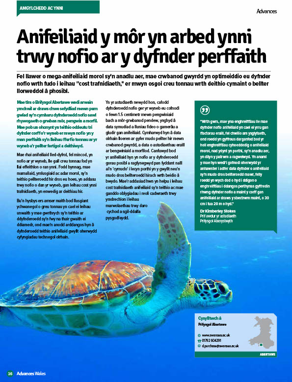 Mae tîm o @PrifysgolAbertawe wedi arwain ymchwil sydd wedi darganfod bod mamaliaid y môr yn arbed egni trwy nofio yn eu ‘dyfnder perffaith’. Darllenwch fwy yn Advances Wales: ow.ly/WurR50VZRAb