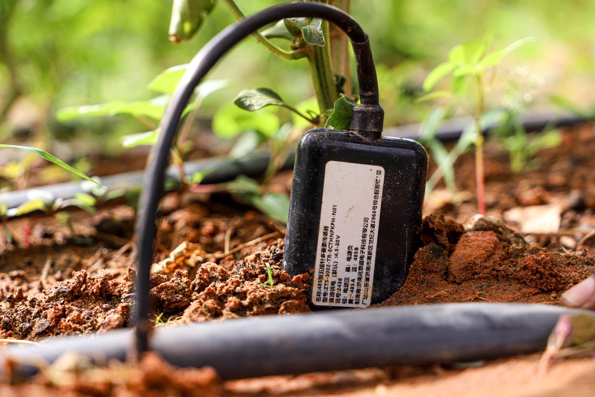 Cipmen's tweet image. #mardi_d_impact🔍
 Un tour à #Muje_Gona, c’est plonger dans l’agriculture de précision !
Nos capteurs de terrain mesurent en temps réel : NPK, pH, humidité, température, etc.
Et pilotent l’irrigation à distance. 🌾💧

#AgriTech #Innovation #SmartFarming #Niger