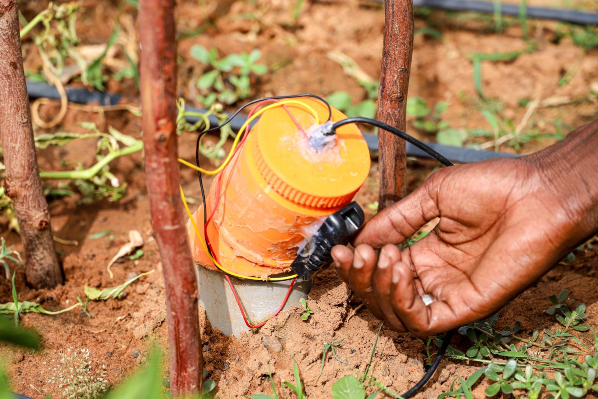 Cipmen's tweet image. #mardi_d_impact🔍
 Un tour à #Muje_Gona, c’est plonger dans l’agriculture de précision !
Nos capteurs de terrain mesurent en temps réel : NPK, pH, humidité, température, etc.
Et pilotent l’irrigation à distance. 🌾💧

#AgriTech #Innovation #SmartFarming #Niger