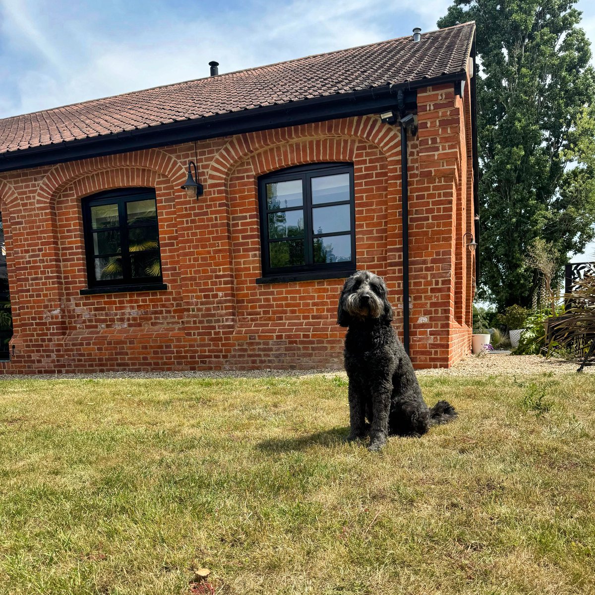 Seriously excited for this Case Study featuring Oscar the Labradoodle.

🪟It has an OW70 Soho Window also… (equally as exciting).

Keep your eyes peeled.

Project by Essex Bifolds 🛠️