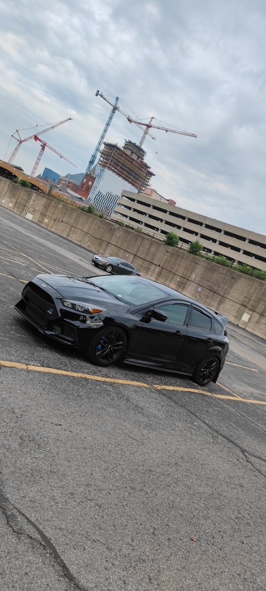 Just picked up this beauty the other day! 

#automotive #car #ford #manual #furry #performance