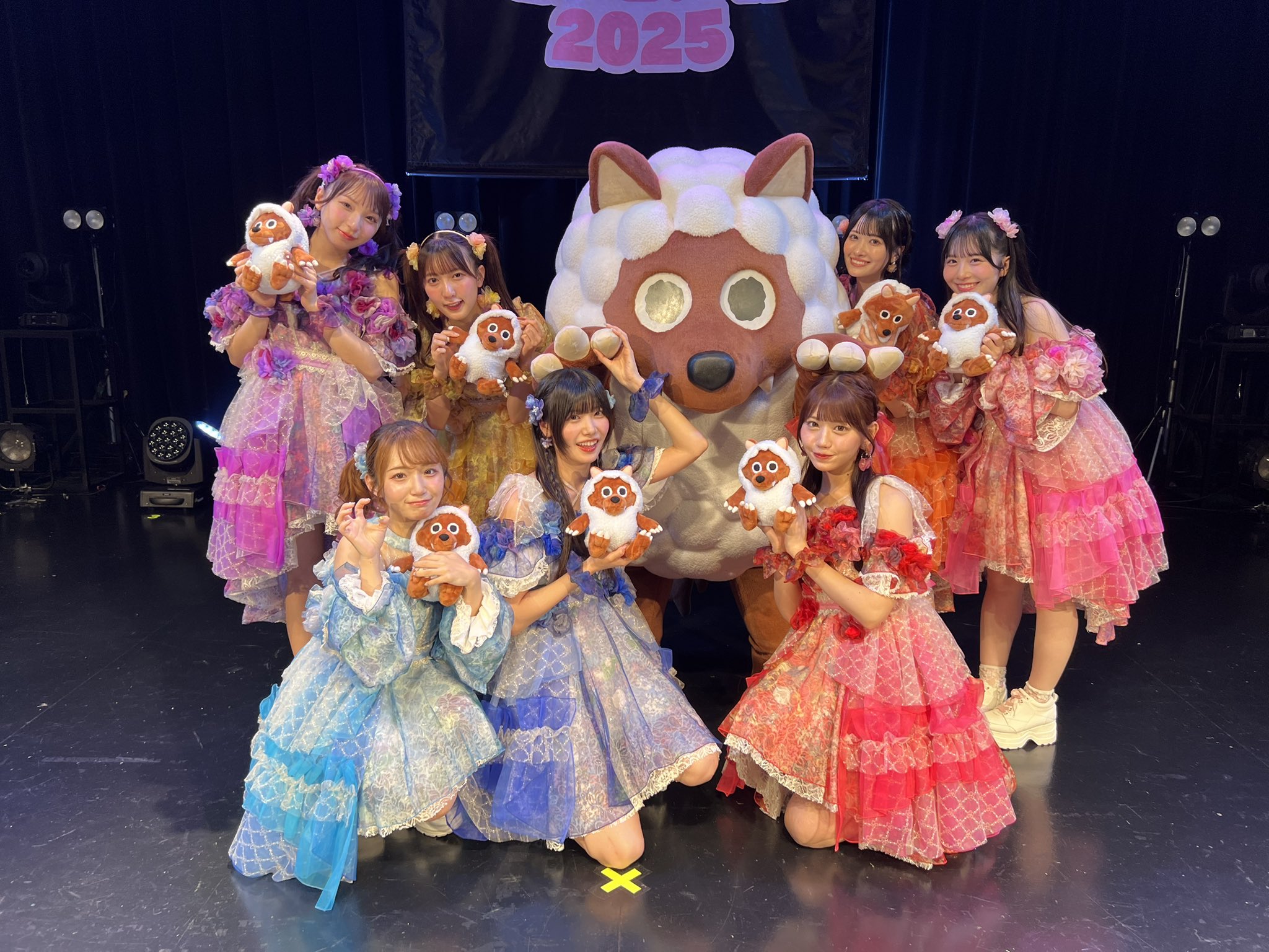 red velvet ジョイ 中華　マカオ　十周年 コンサート　ポロライト アイドルマスター シンデレラガールズ 公式コンサートライト