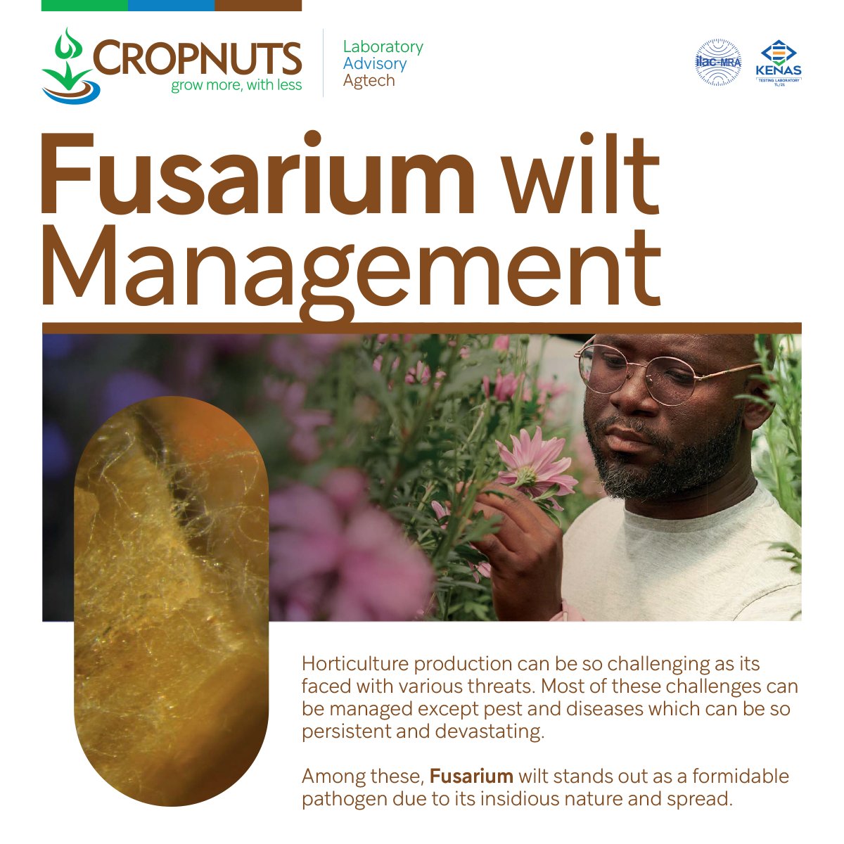 Crop Nutrition Laboratory Services (Cropnuts) tweet media