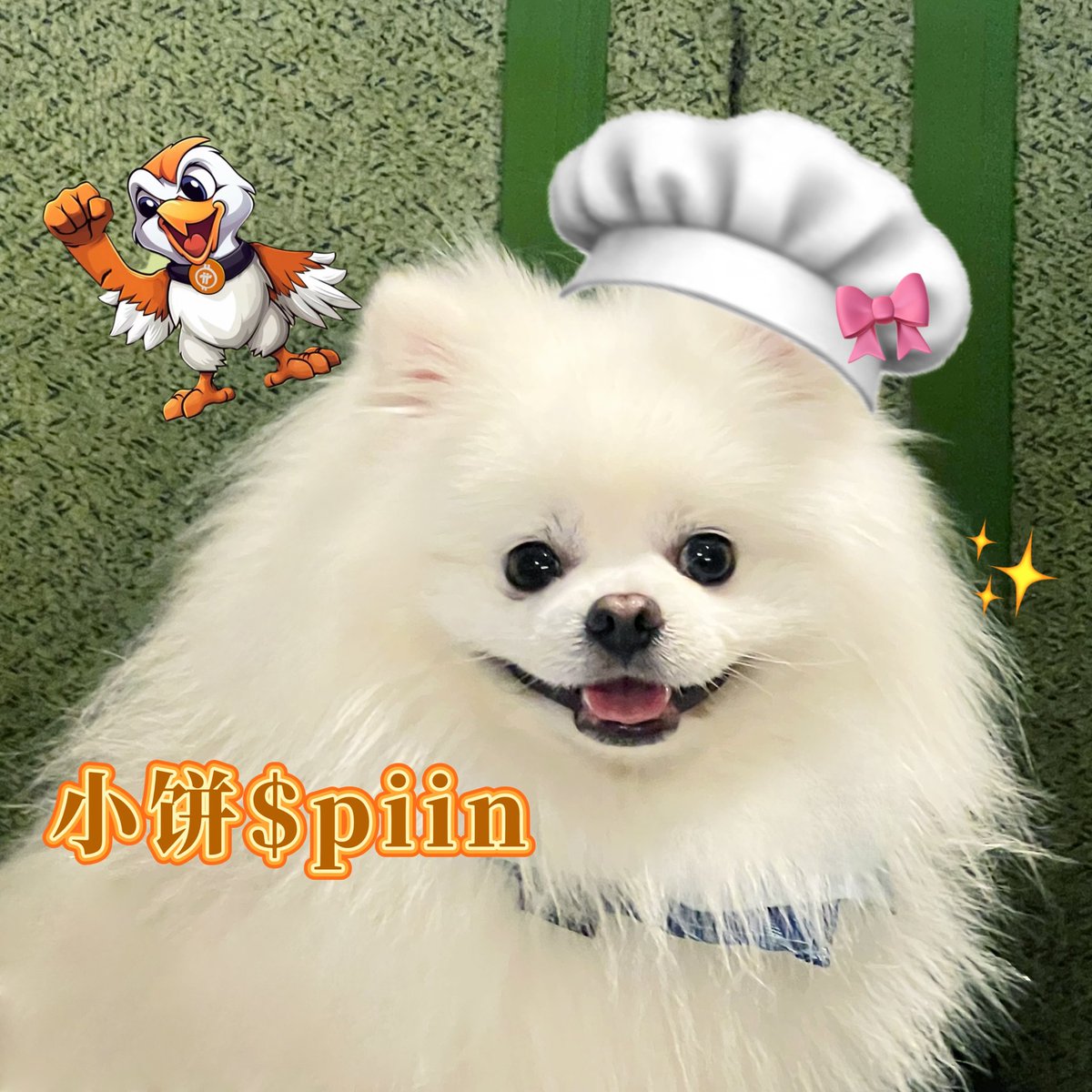 小饼 #piin 旺旺旺💰