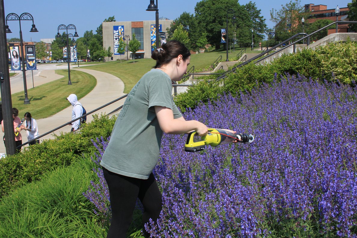 Kent State Sustainability tweet media