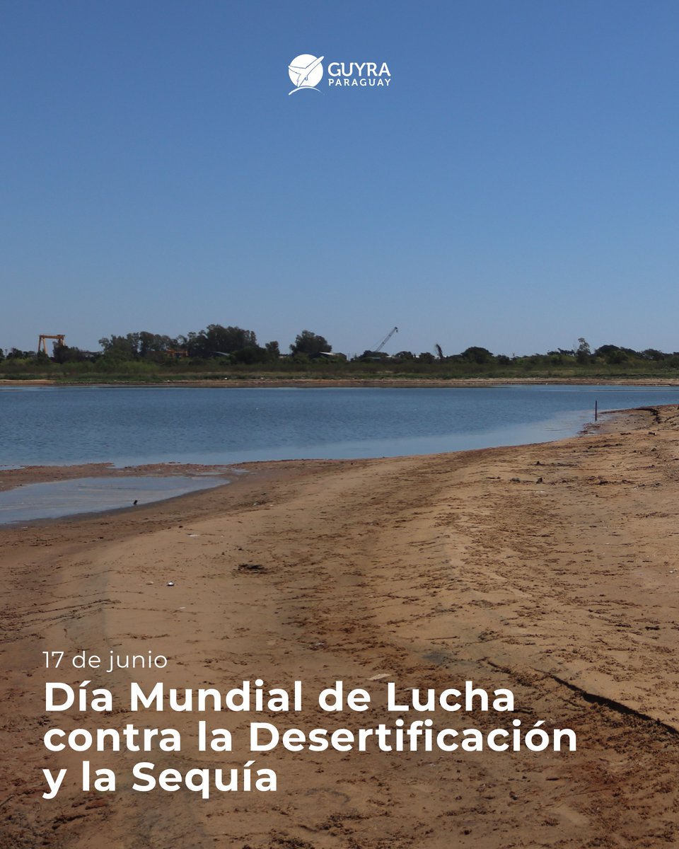 Las sequías se vuelven más frecuentes e intensas, afectando tanto a comunidades humanas como a ecosistemas frágiles

Este año, la conmemoración nos llama a reflexionar sobre nuestras formas de producción y consumo.

En Guyra Paraguay, trabajamos por soluciones sostenibles