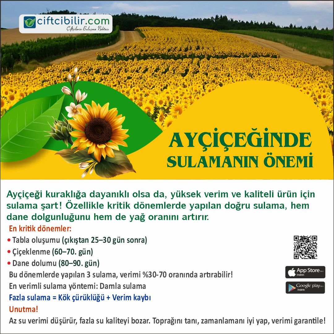 Daha fazla bilgiye sitemizin Tarım Kütüphanesi bölümünden ulaşabilirsiniz.
İlanlarınızı sitemizde ücretsiz yayınlayabilirsiniz...
ciftcibilir.com