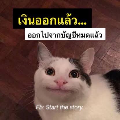 ชีวิตจริงกุ 1,000,000%