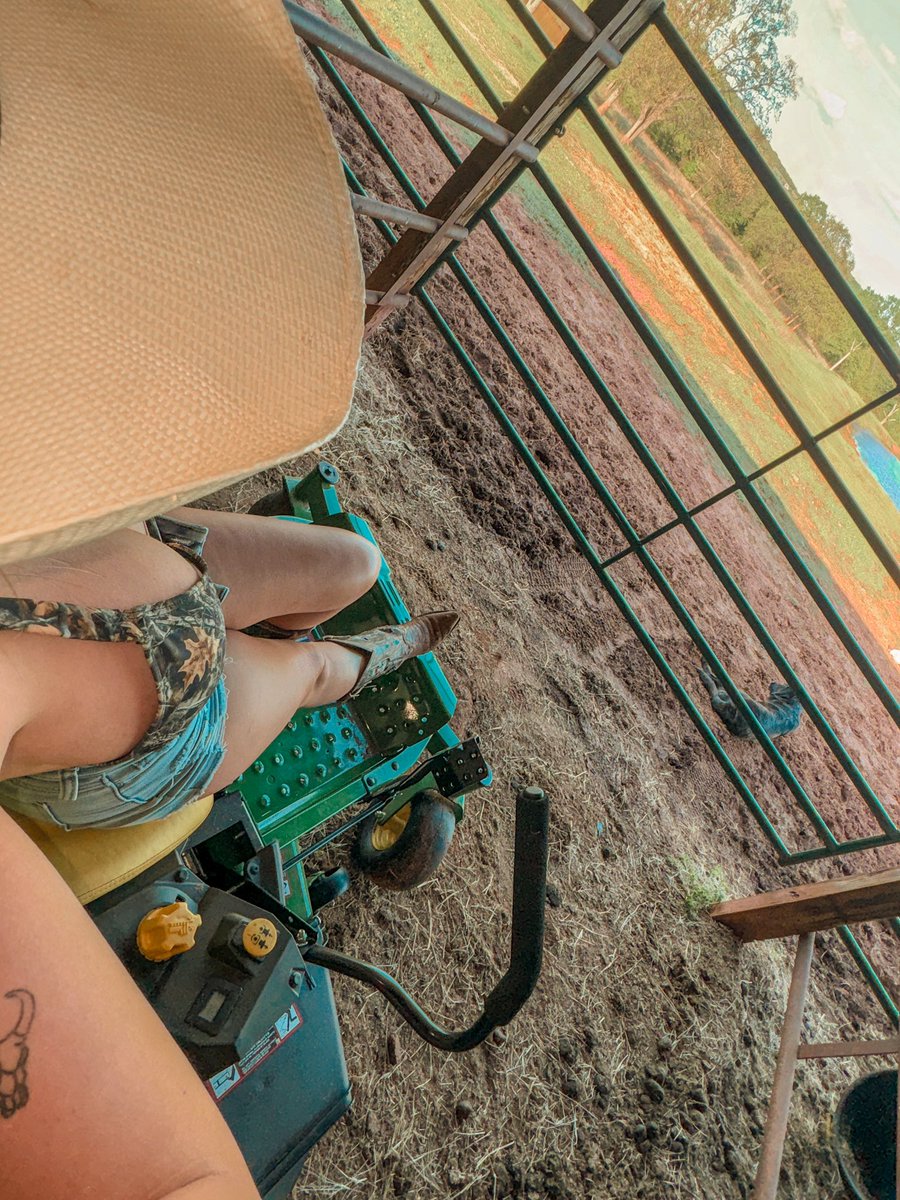 Lacy 🌵⚡️ tweet media