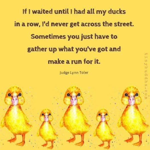 wardr_learns's tweet photo. Yep! Let’s make a run for it today! 🐥💛 https://t.co/0yZ5gQjb3b