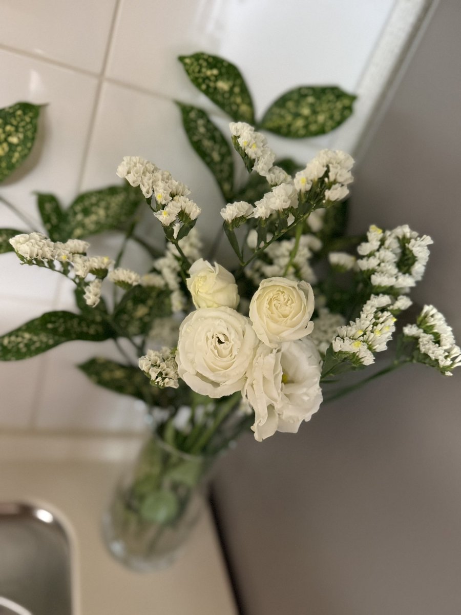 gark7777's tweet photo. 自分より大切な命。
どんな時でも味方で居る。

4本の白い薔薇の意味とは🌹🤍

明日の天気は晴れますように☀️ https://t.co/b9c1GD7NNV