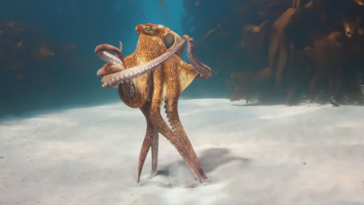 Stash Magazine tweet media