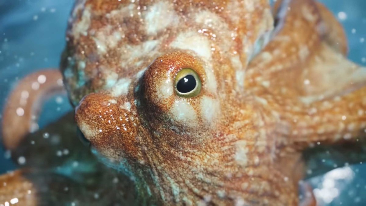 One of the most fun &amp; technically impressive #CG creature performances you will see this year:

<a href="/untold_studios/">Untold Studios</a> &amp; <a href="/PARASOLISLAND/">Parasol Island</a> choreograph a cephalopodic #dance <a href="/BMW/">BMW</a> thru #JungvonMatt

Watch: tinyurl.com/ysbezmrb

#animation #VFX #advertising #BMW #3danimation #octopus #CG