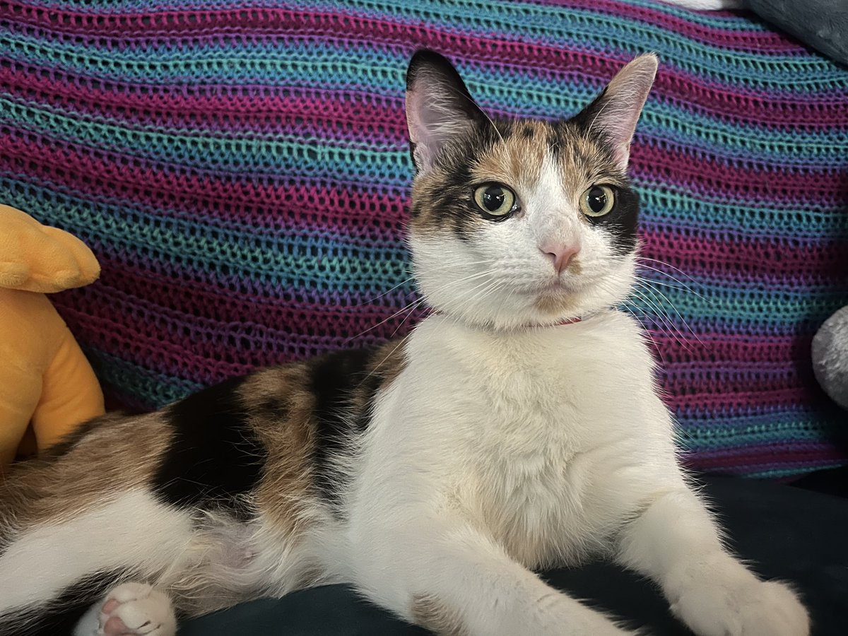 thinks twice ? i don't even thinks once