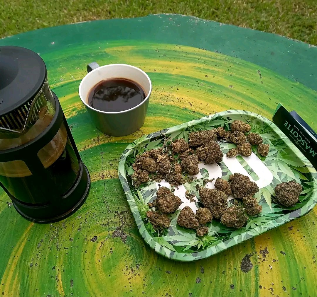 What are taking for breakfast??