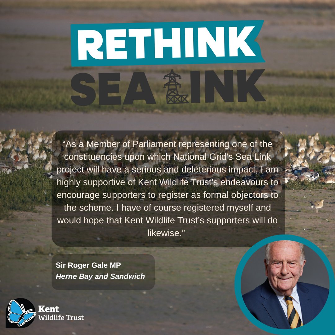 Want to stop Sea Link from harming Pegwell Bay’s precious wildlife? DEADLINE IN LESS THAN 1 WEEK, 23 JUNE.

You must register as an Interested Party to have your say.
📣 Make your voice heard before it’s too late:
👉 kentwildlifetrust.org.uk/campaigns/reth…