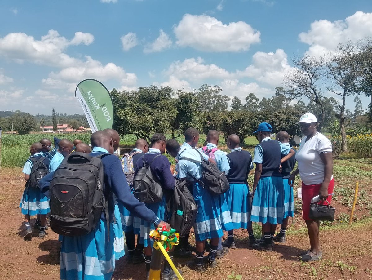 🌿 We were honored to participate in the Kakamega ASK Show at Moi Grounds under the theme "Promoting Climate-Smart Agriculture and Trade Initiatives for Sustainable Economic Growth."
#RODiKenya #ClimateSmartAgriculture #ASKShow2025 #Kakamega