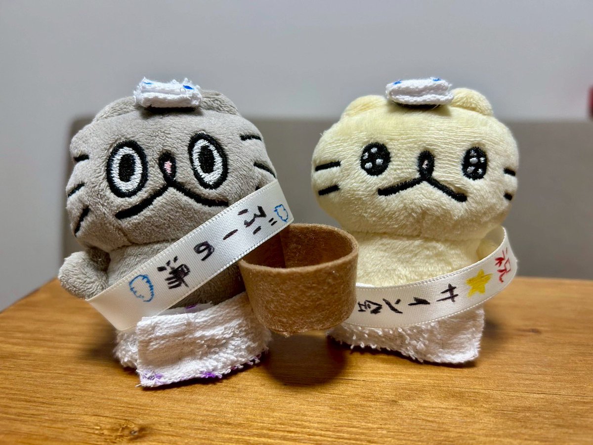 祝🎊ぶーの湯♨️サイン会開催おめでとうございます〜❣️
#ねこのぶーちゃん