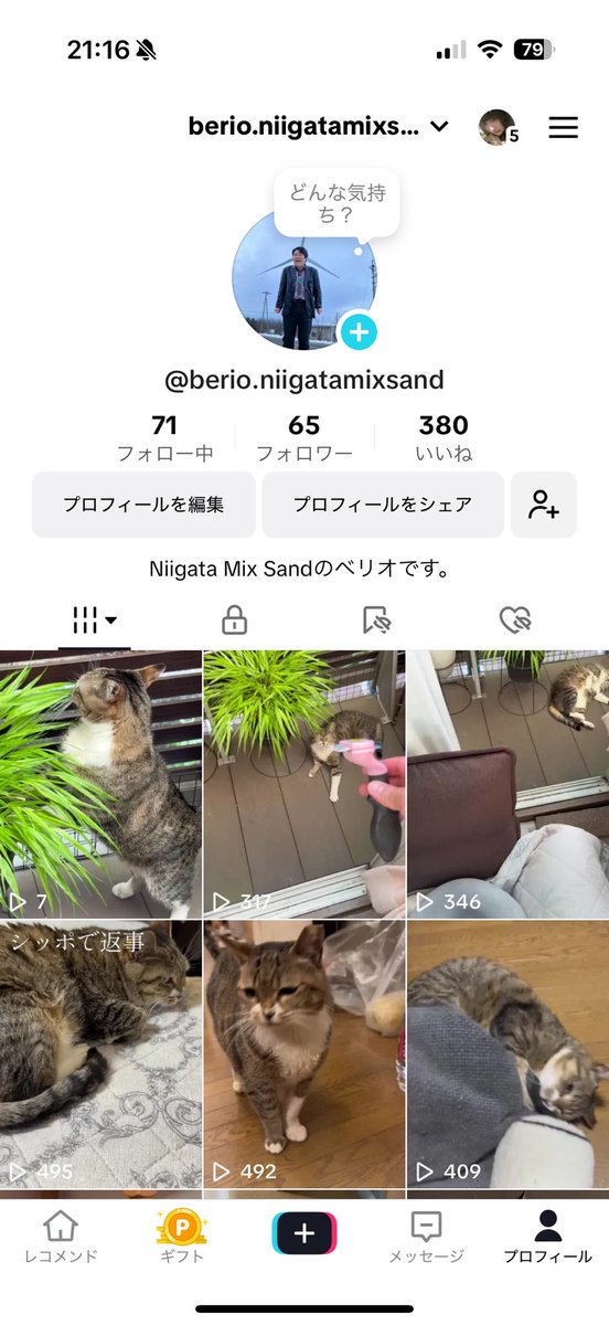 今日も暑い一日でしたね〜🥵

寝る時も含め、無理をせずに冷房を活用して下さいね🌀🍃

今日はベリオがひっそりとやっている
TikTokをご紹介させて下さい。

ネコちゃんがたっぷり映ってます。