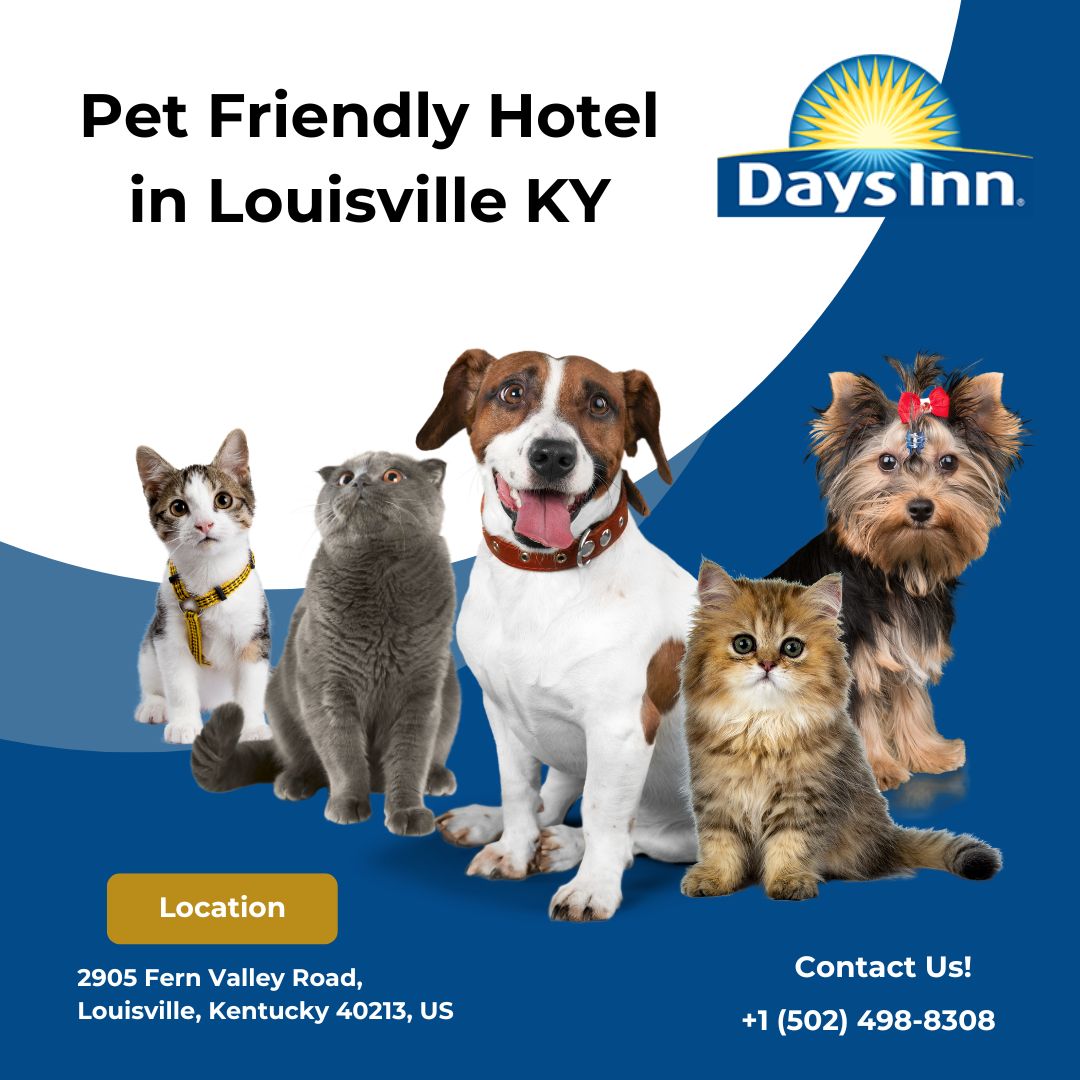 DaysLouisville's tweet photo. Traveling with pets? 🐾 Stay where tails wag and whiskers purr — at Days Inn Louisville KY!
📍 2905 Fern Valley Road | 📞 (502) 498-8308
#PetFriendlyTravel #DaysInn #LouisvilleKY #HotelWithPets #DogFriendlyHotel #CatFriendlyStay https://t.co/TPqRhneKG8